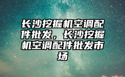 長沙挖掘機(jī)空調(diào)配件批發(fā)，長沙挖掘機(jī)空調(diào)配件批發(fā)市場