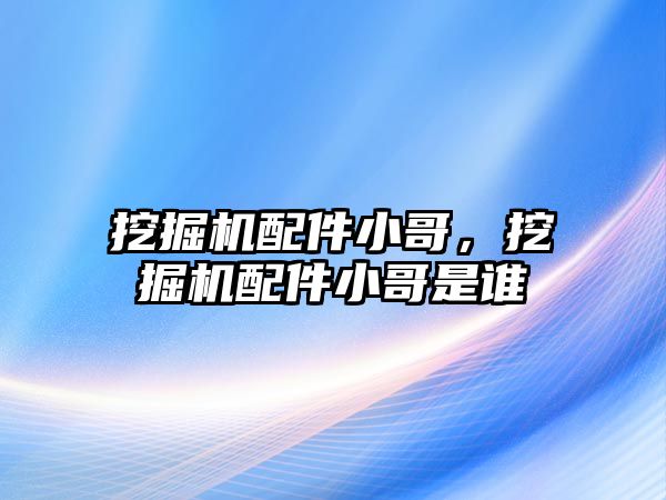 挖掘機配件小哥，挖掘機配件小哥是誰