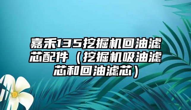 嘉禾135挖掘機回油濾芯配件（挖掘機吸油濾芯和回油濾芯）