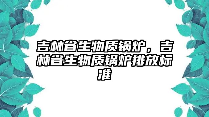 吉林省生物質鍋爐，吉林省生物質鍋爐排放標準