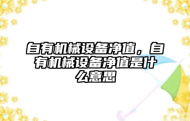 自有機械設備凈值，自有機械設備凈值是什么意思