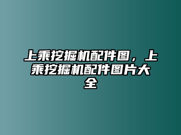 上乘挖掘機配件圖，上乘挖掘機配件圖片大全