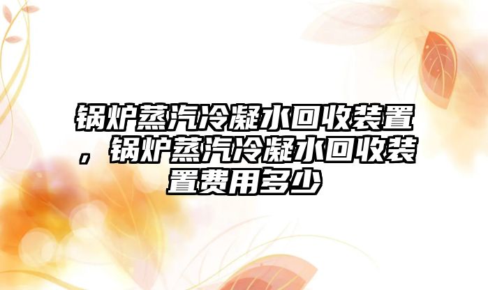 鍋爐蒸汽冷凝水回收裝置，鍋爐蒸汽冷凝水回收裝置費用多少