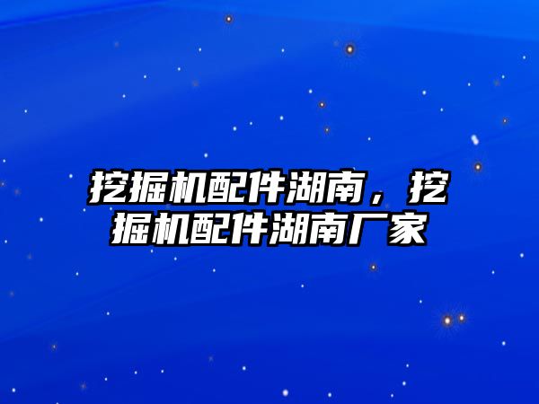 挖掘機配件湖南，挖掘機配件湖南廠家