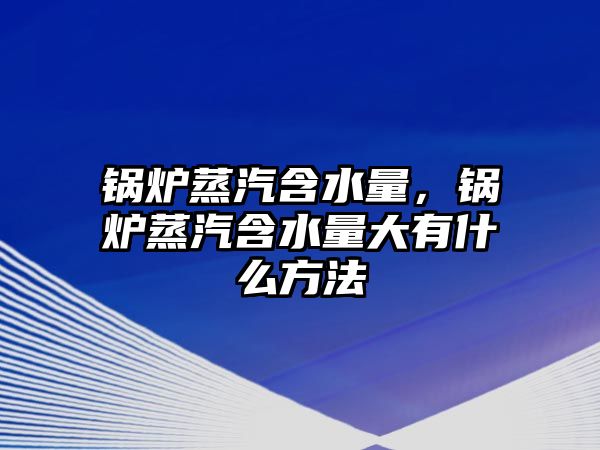 鍋爐蒸汽含水量，鍋爐蒸汽含水量大有什么方法