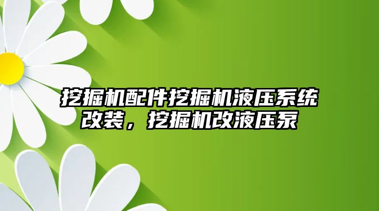 挖掘機配件挖掘機液壓系統改裝，挖掘機改液壓泵