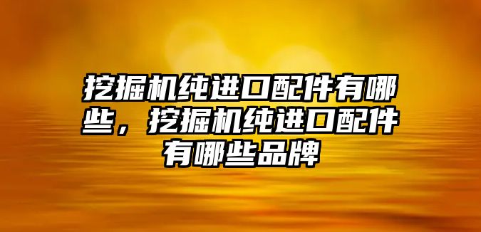 挖掘機純進口配件有哪些，挖掘機純進口配件有哪些品牌