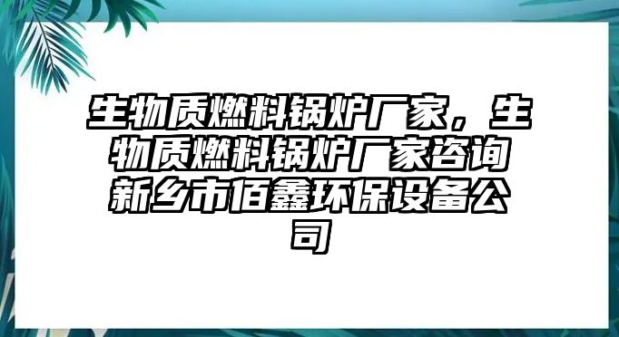 生物質燃料鍋爐廠家，生物質燃料鍋爐廠家咨詢新鄉市佰鑫環保設備公司