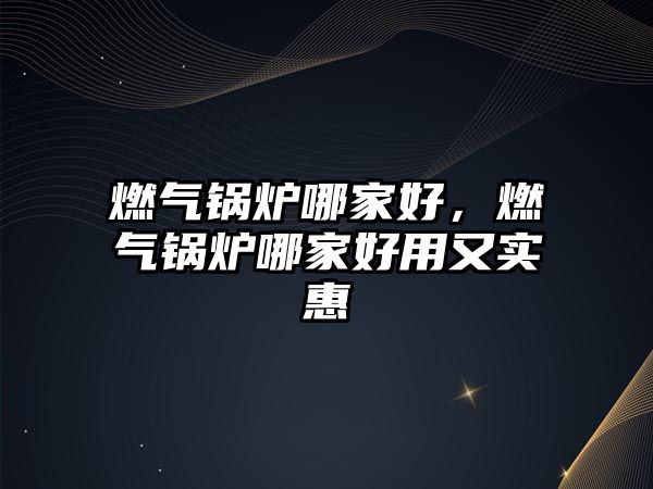 燃?xì)忮仩t哪家好，燃?xì)忮仩t哪家好用又實(shí)惠