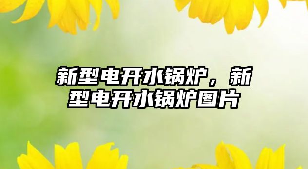 新型電開水鍋爐，新型電開水鍋爐圖片