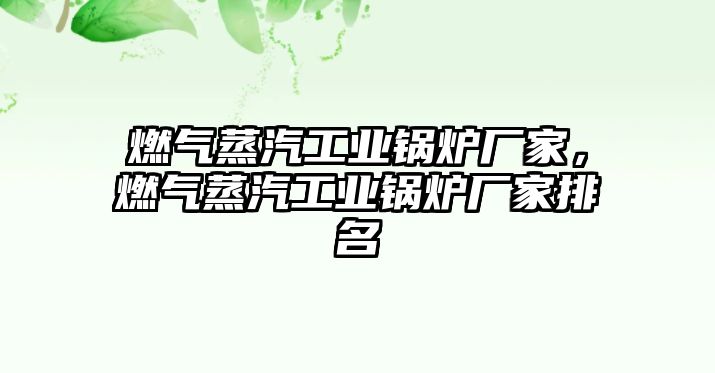 燃氣蒸汽工業(yè)鍋爐廠家，燃氣蒸汽工業(yè)鍋爐廠家排名