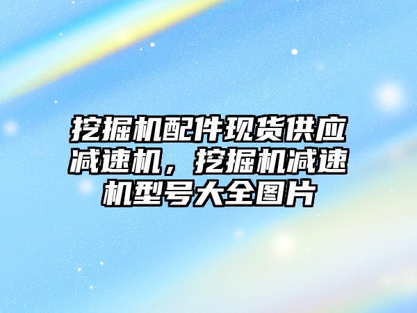 挖掘機配件現貨供應減速機，挖掘機減速機型號大全圖片