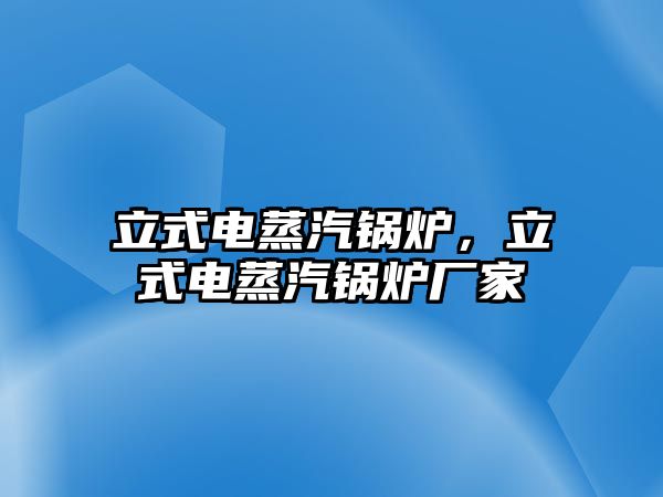 立式電蒸汽鍋爐，立式電蒸汽鍋爐廠家