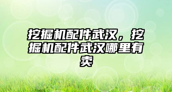 挖掘機配件武漢，挖掘機配件武漢哪里有賣