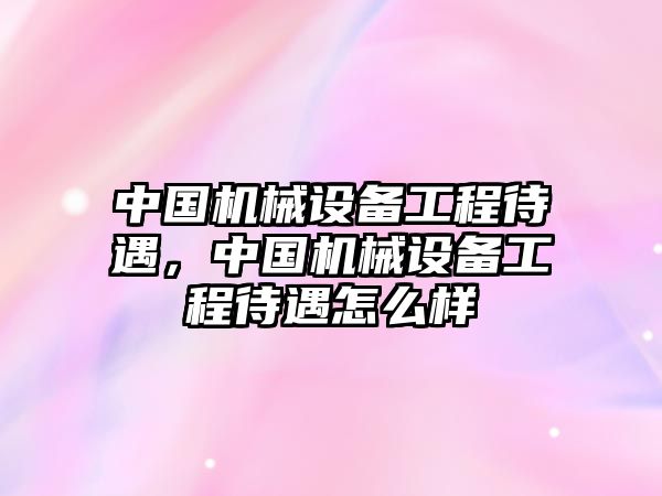 中國機械設備工程待遇，中國機械設備工程待遇怎么樣