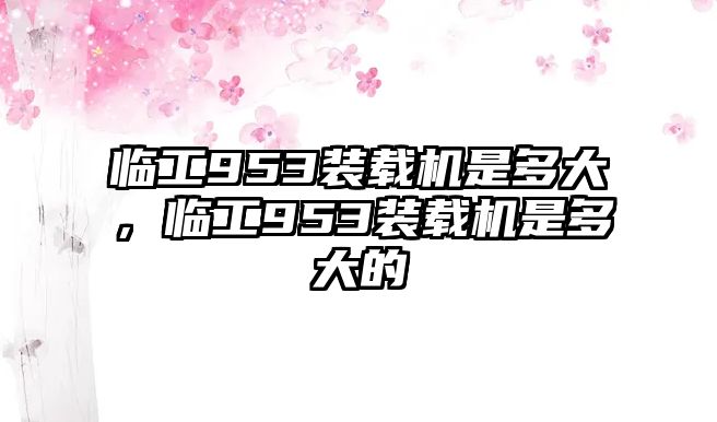 臨工953裝載機是多大，臨工953裝載機是多大的