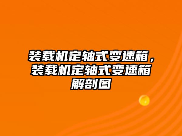 裝載機定軸式變速箱，裝載機定軸式變速箱解剖圖