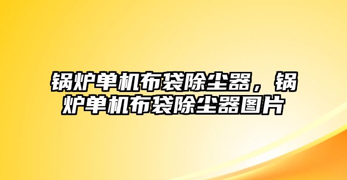 鍋爐單機布袋除塵器，鍋爐單機布袋除塵器圖片