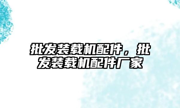 批發裝載機配件，批發裝載機配件廠家