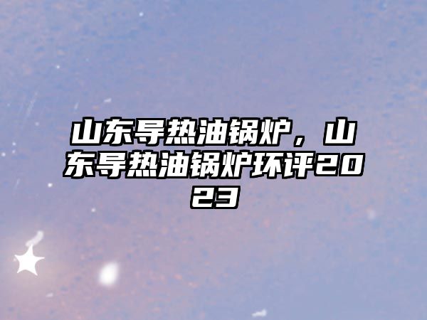 山東導熱油鍋爐，山東導熱油鍋爐環(huán)評2023