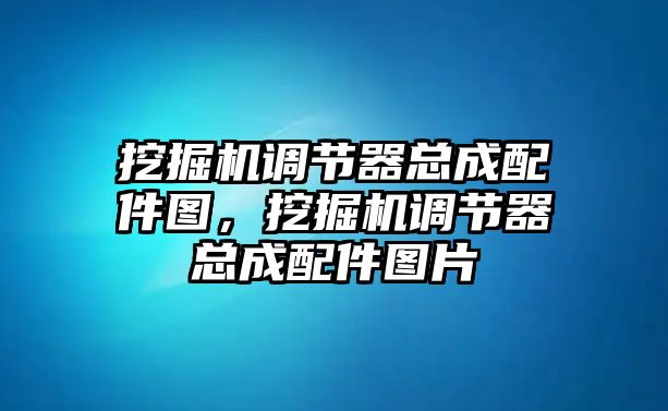 挖掘機調節器總成配件圖，挖掘機調節器總成配件圖片