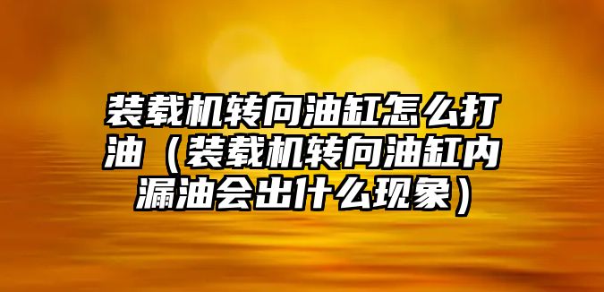 裝載機轉向油缸怎么打油（裝載機轉向油缸內漏油會出什么現象）