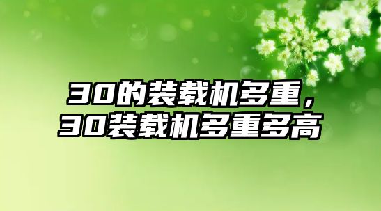 30的裝載機多重，30裝載機多重多高