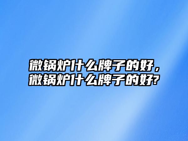 微鍋爐什么牌子的好，微鍋爐什么牌子的好?