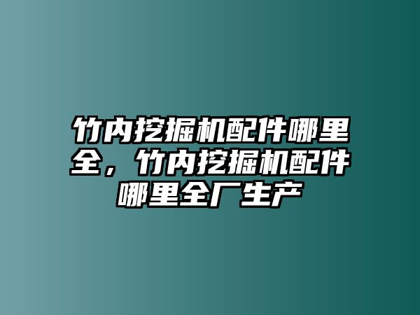 竹內(nèi)挖掘機(jī)配件哪里全，竹內(nèi)挖掘機(jī)配件哪里全廠生產(chǎn)