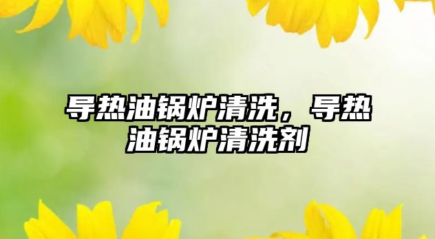 導熱油鍋爐清洗，導熱油鍋爐清洗劑