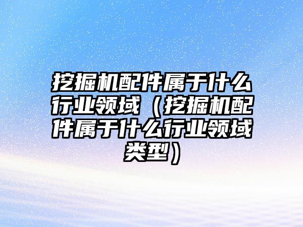 挖掘機配件屬于什么行業領域（挖掘機配件屬于什么行業領域類型）