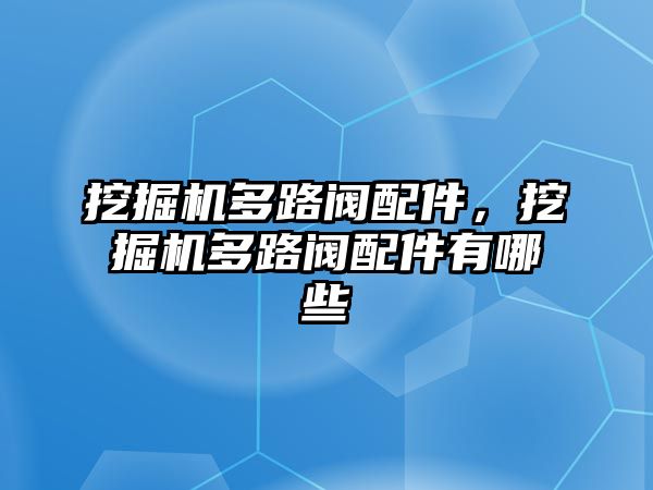 挖掘機多路閥配件，挖掘機多路閥配件有哪些