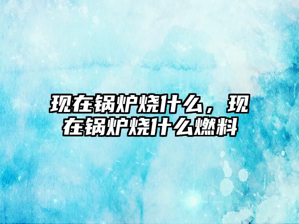 現在鍋爐燒什么，現在鍋爐燒什么燃料