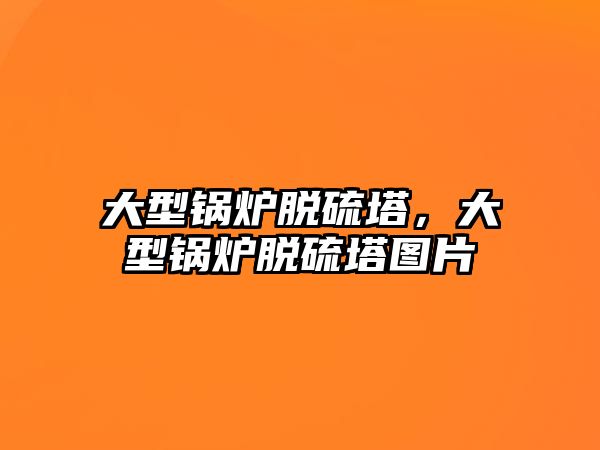 大型鍋爐脫硫塔，大型鍋爐脫硫塔圖片