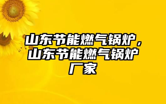 山東節能燃氣鍋爐，山東節能燃氣鍋爐廠家