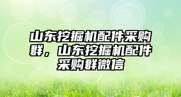 山東挖掘機(jī)配件采購群，山東挖掘機(jī)配件采購群微信