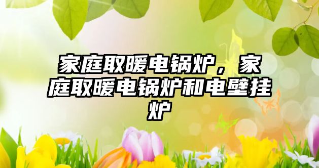 家庭取暖電鍋爐，家庭取暖電鍋爐和電壁掛爐