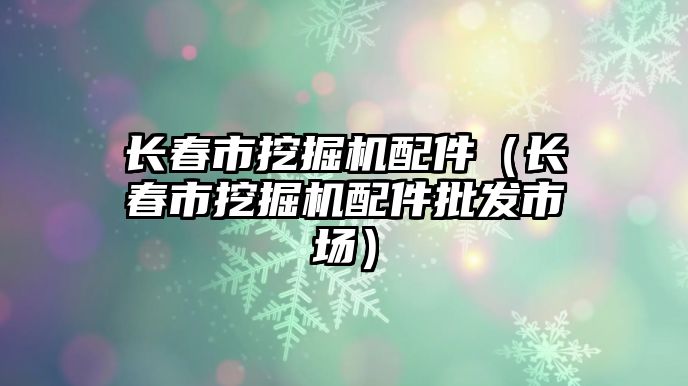 長春市挖掘機配件（長春市挖掘機配件批發(fā)市場）