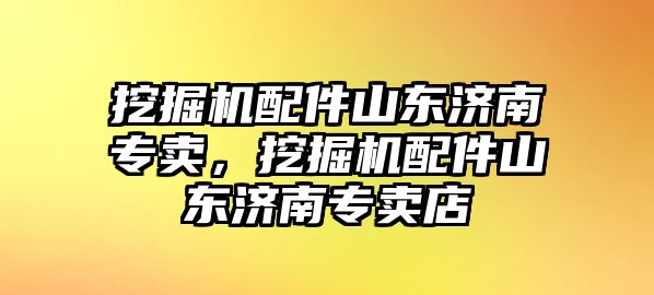 挖掘機配件山東濟南專賣，挖掘機配件山東濟南專賣店