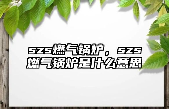 szs燃?xì)忮仩t，szs燃?xì)忮仩t是什么意思