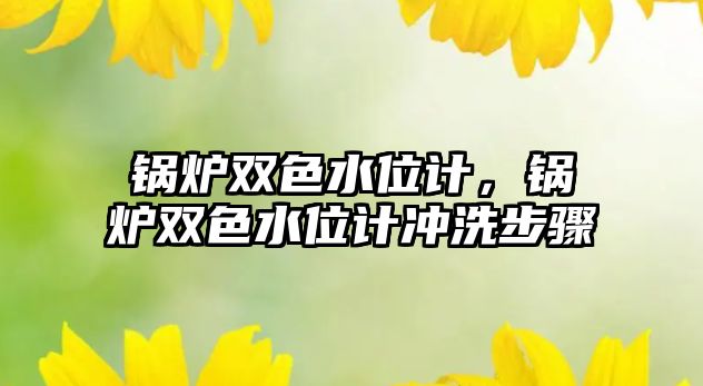 鍋爐雙色水位計，鍋爐雙色水位計沖洗步驟