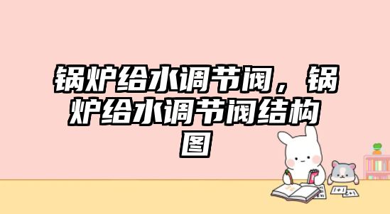 鍋爐給水調節閥，鍋爐給水調節閥結構圖