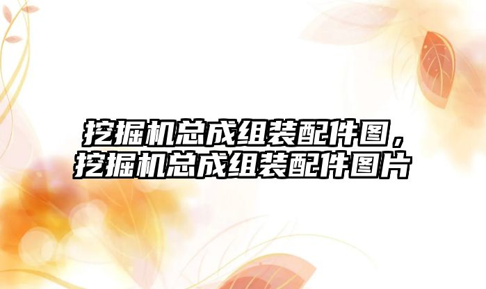 挖掘機總成組裝配件圖，挖掘機總成組裝配件圖片