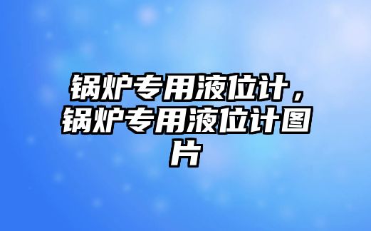 鍋爐專用液位計，鍋爐專用液位計圖片