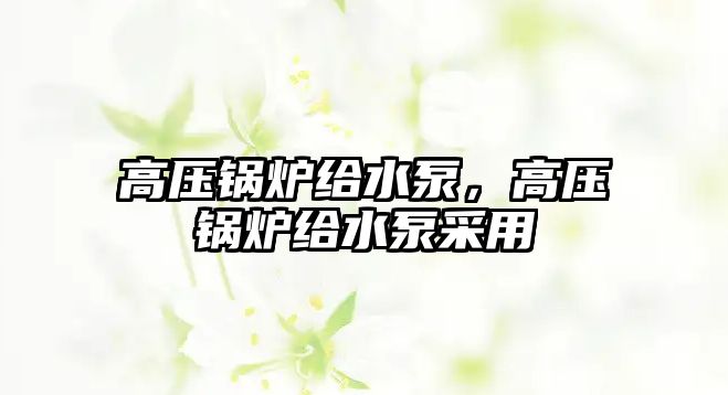 高壓鍋爐給水泵，高壓鍋爐給水泵采用