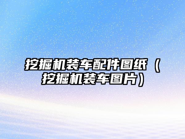 挖掘機裝車配件圖紙（挖掘機裝車圖片）