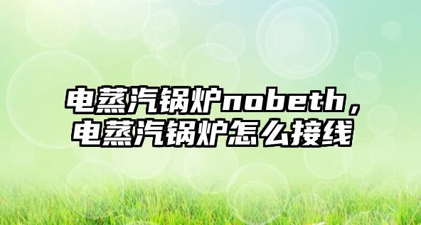 電蒸汽鍋爐nobeth，電蒸汽鍋爐怎么接線