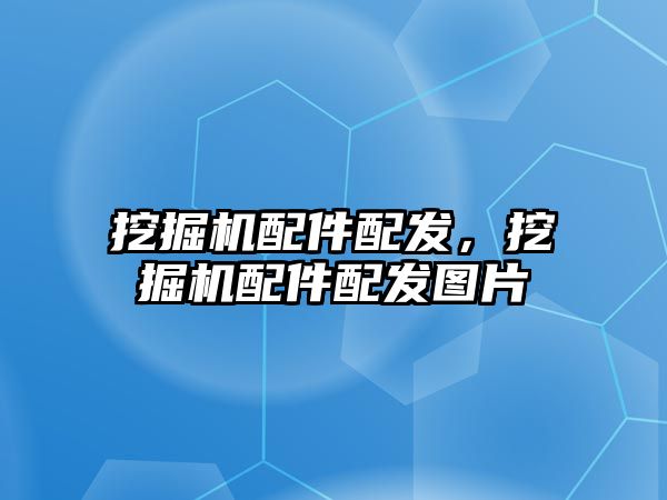 挖掘機配件配發(fā)，挖掘機配件配發(fā)圖片