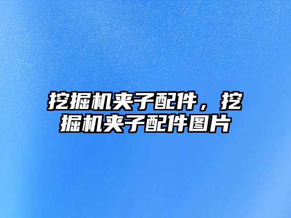 挖掘機夾子配件，挖掘機夾子配件圖片