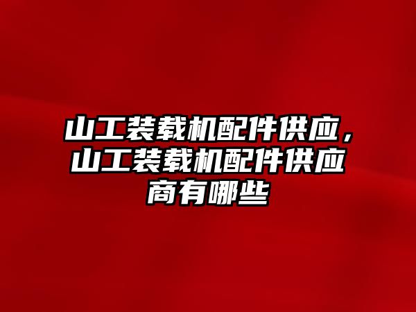 山工裝載機配件供應(yīng)，山工裝載機配件供應(yīng)商有哪些